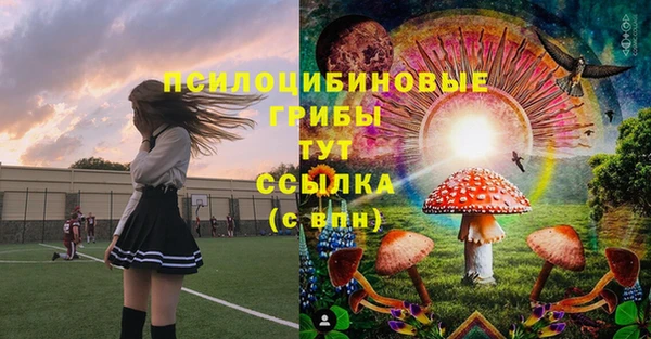 ALPHA PVP Гусиноозёрск