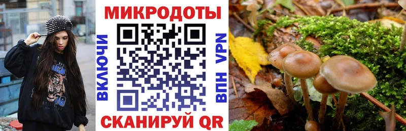 Псилоцибиновые грибы ЛСД  даркнет сайт  Оренбург 
